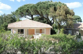 Quiet Palm House - Golfe de Saint Tropez